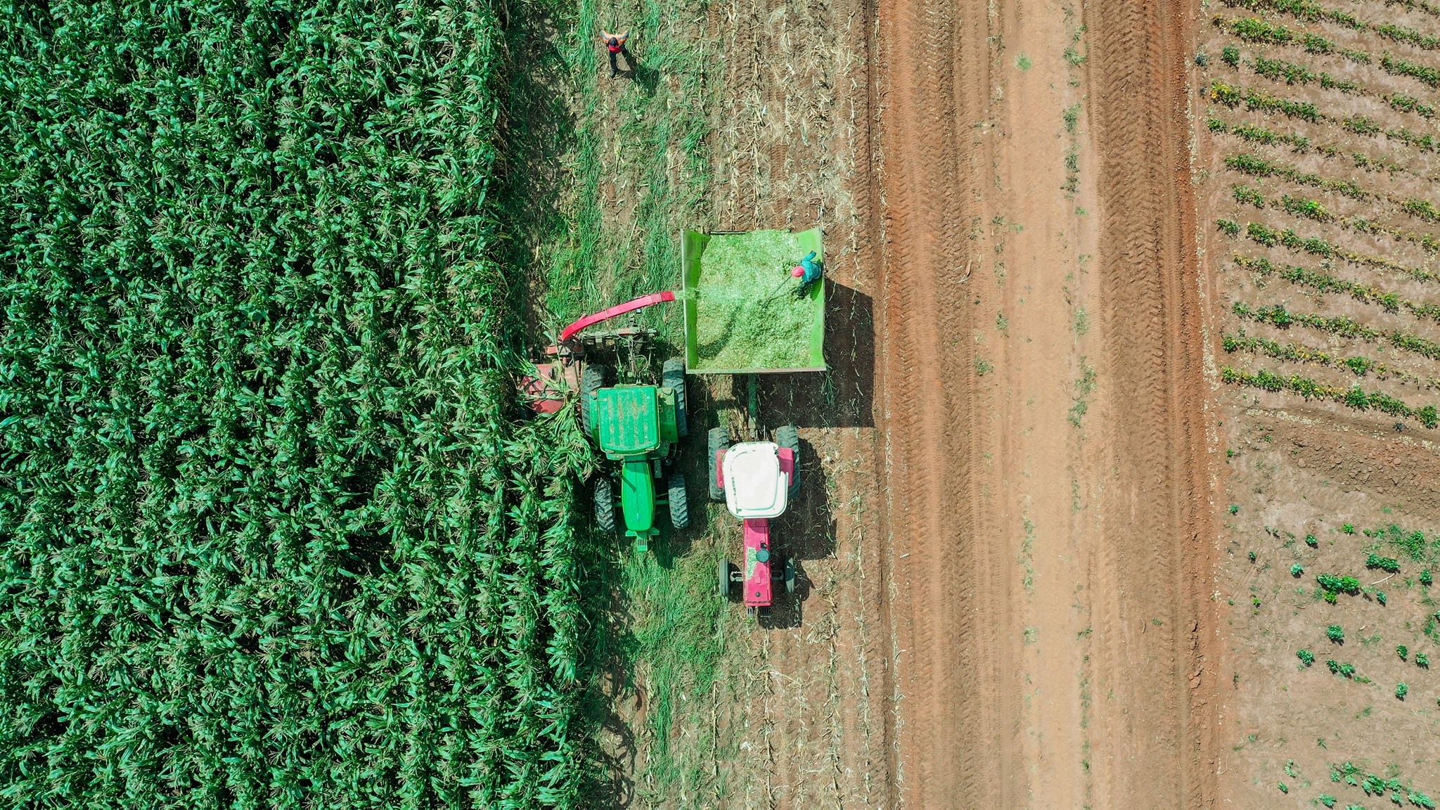 Precision Agriculture: How Drone Mapping is Revolutionizing African Farming