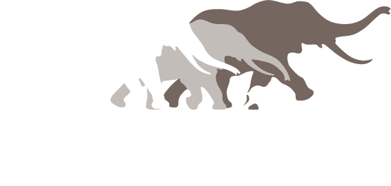African Wildlife Foundation Logo