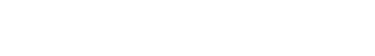 Washington Post Logo
